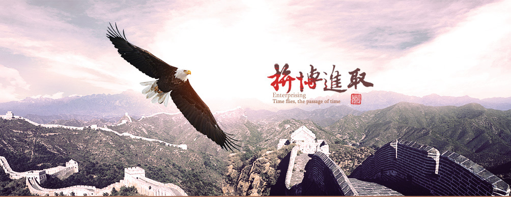  蕪湖韋杰精密機(jī)械設(shè)備、模具、檢具、夾具及配件